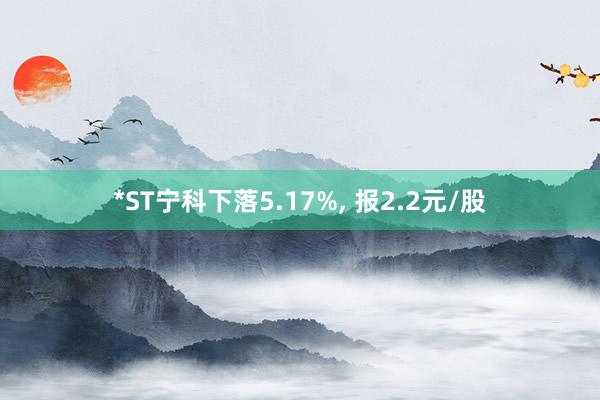 *ST宁科下落5.17%, 报2.2元/股