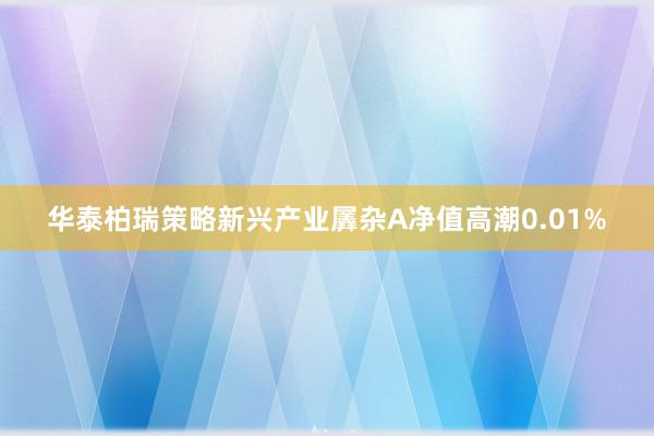 华泰柏瑞策略新兴产业羼杂A净值高潮0.01%