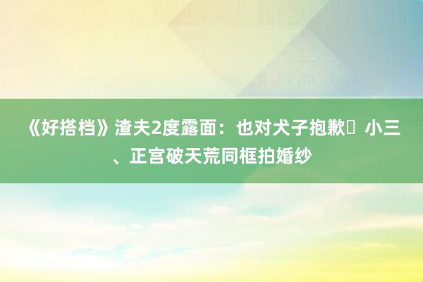 《好搭档》渣夫2度露面：也对犬子抱歉⋯　小三、正宫破天荒同框拍婚纱