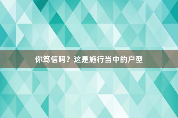 你笃信吗？这是施行当中的户型